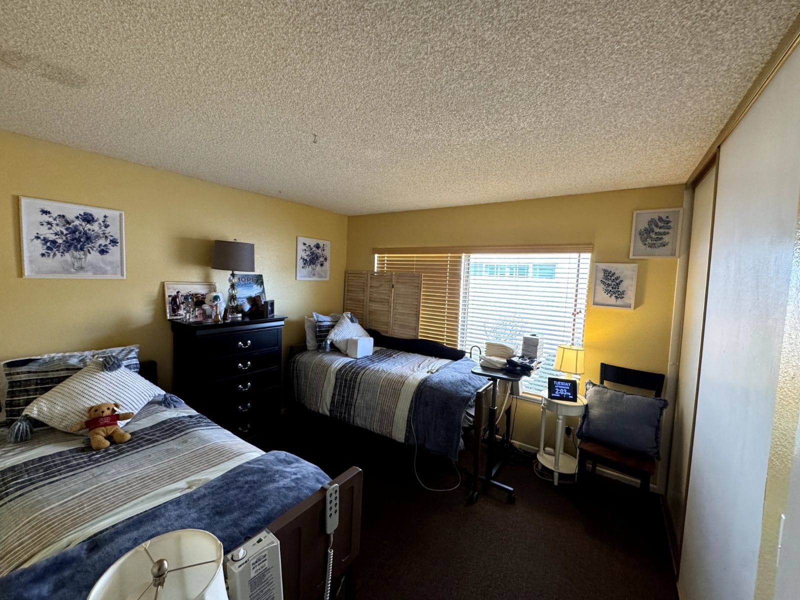 Comfortable senior care home illustration